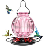 Grete Gotye Glass Hummingbird Feeder for Outdoors Hanging