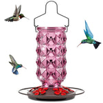 Grete Gotye Glass Hummingbird Feeders for Outdoors